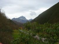 Aussicht vom Haus
